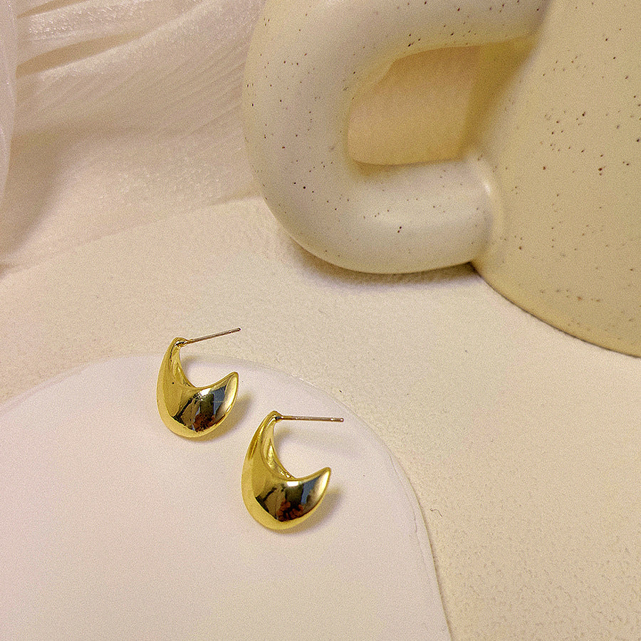 Sier Needle Beanie Metallic Ear Trendy Earrings